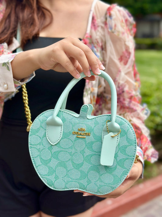 BOLSO LCC-10 VERDE