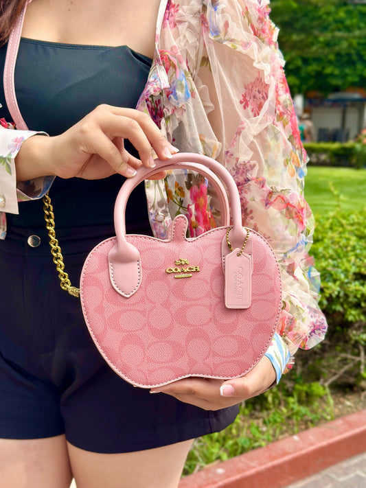 BOLSO LCC-10 PIK